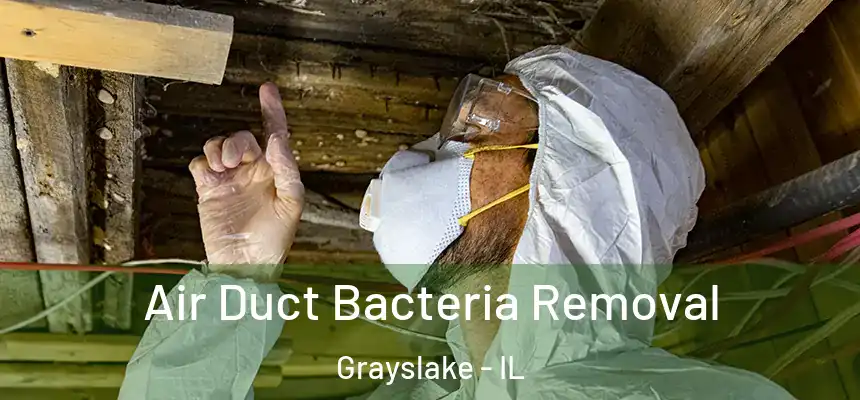  Air Duct Bacteria Removal Grayslake - IL
