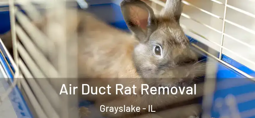 Air Duct Rat Removal Grayslake - IL