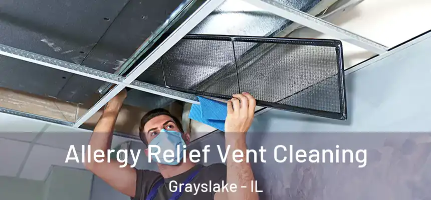 Allergy Relief Vent Cleaning Grayslake - IL