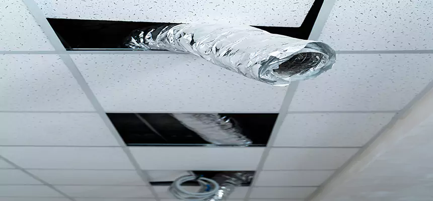 Affordable HVAC Sanitizing After Pest Removal in Grayslake