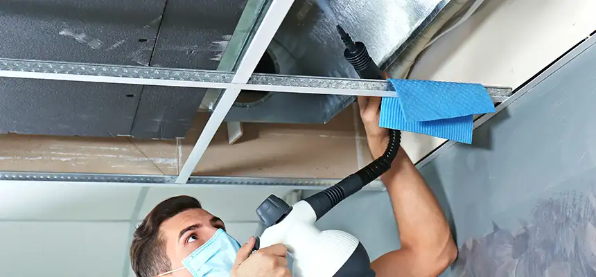 Our Air Duct Rodent Removal Services in Grayslake, IL