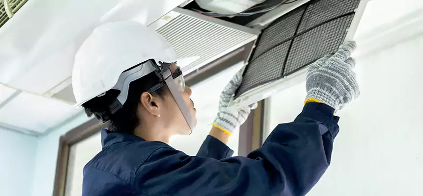 Our Mold & Mildew Removal from Air Ducts Services in Grayslake, IL