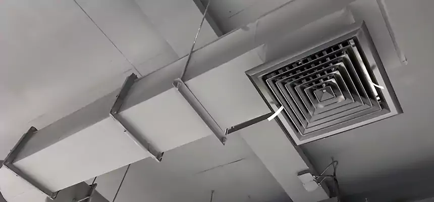 Our Pest Removal From Ducts Services in Grayslake, IL