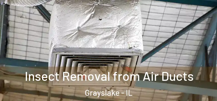  Insect Removal from Air Ducts Grayslake - IL