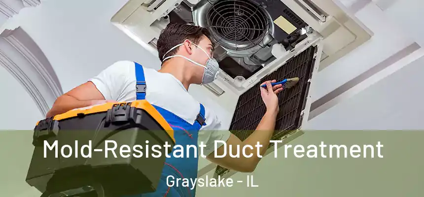  Mold-Resistant Duct Treatment Grayslake - IL