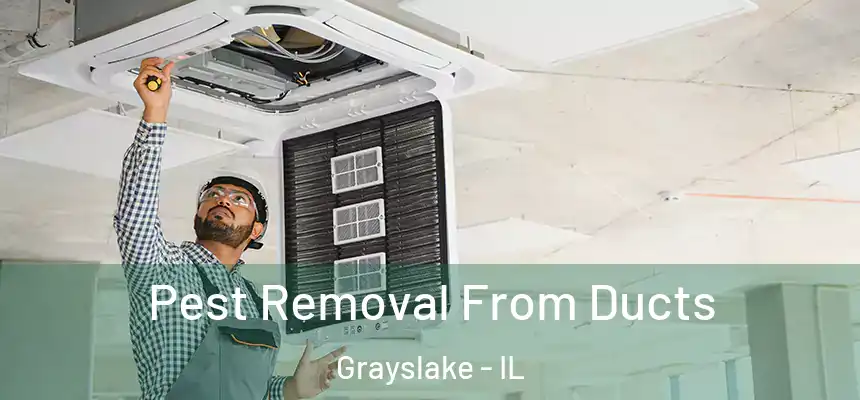  Pest Removal From Ducts Grayslake - IL