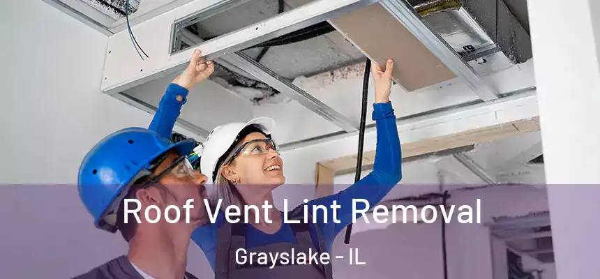  Roof Vent Lint Removal Grayslake - IL