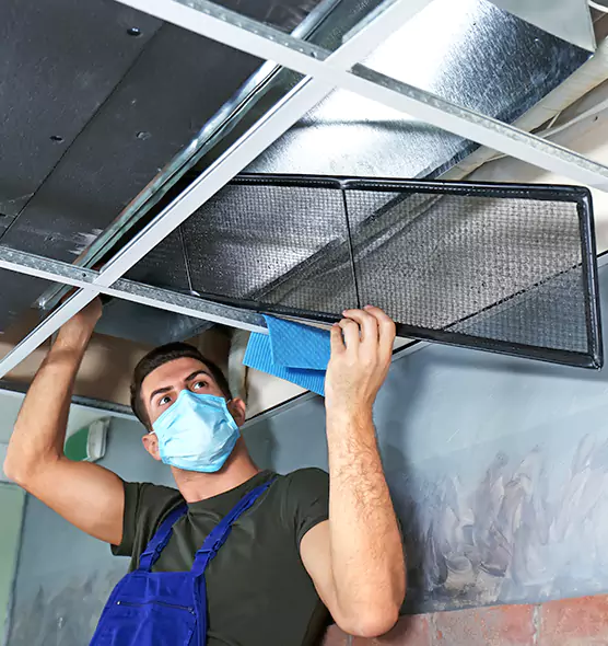 About Air Duct Bacteria Removal in Grayslake