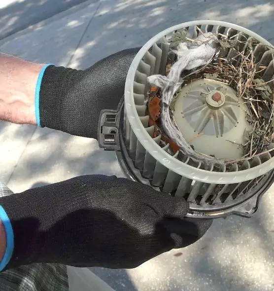 About Air Duct Mice Removal in Grayslake, IL