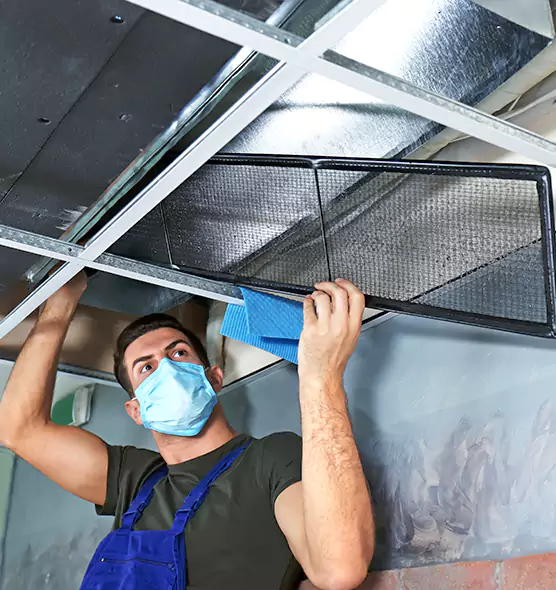 Professional Air Duct Pollen Cleaning in Grayslake, IL