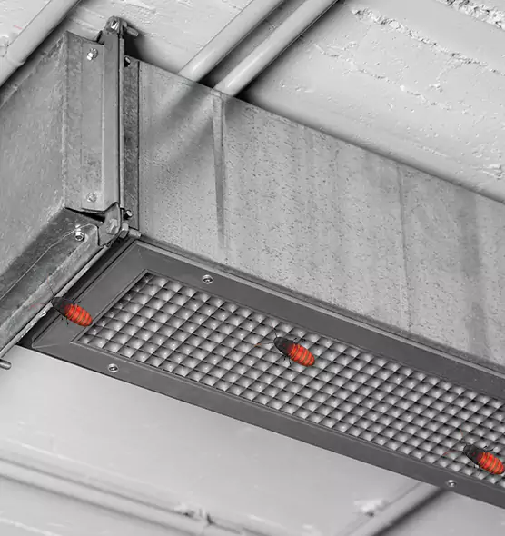 Affordable Insect Removal from Air Ducts in Grayslake, IL