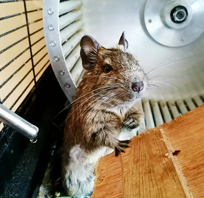 Why Homeowners & Businesses Trust Us Grayslake, IL?