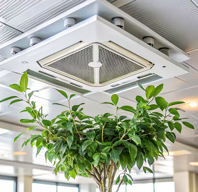 Why Homeowners & Businesses Trust Us in Grayslake, IL?