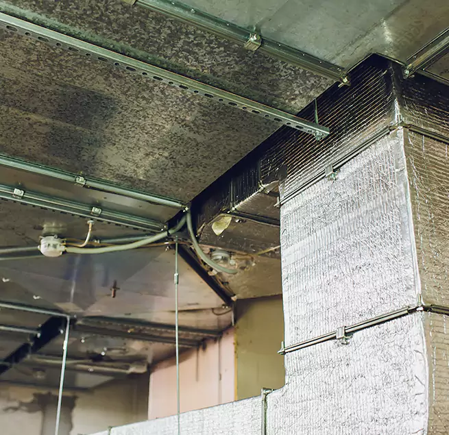 Why Homeowners & Businesses Trust Us in Grayslake, IL?